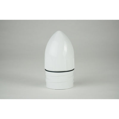 2" PVC male threaded well point