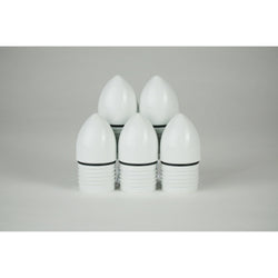 1" PVC male threaded well point