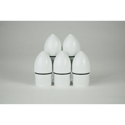 1" PVC male threaded well point